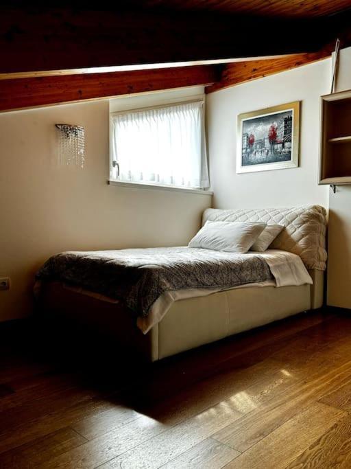 Joy Apartment ميزّيجرا المظهر الخارجي الصورة