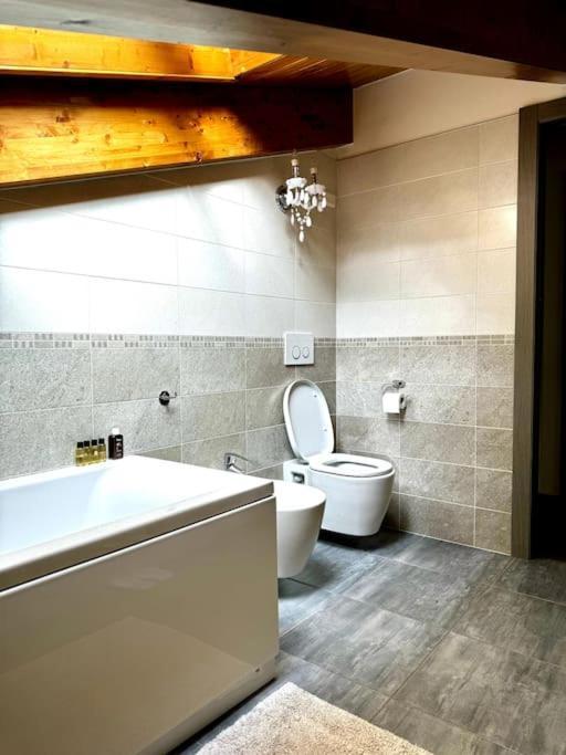 Joy Apartment ميزّيجرا المظهر الخارجي الصورة