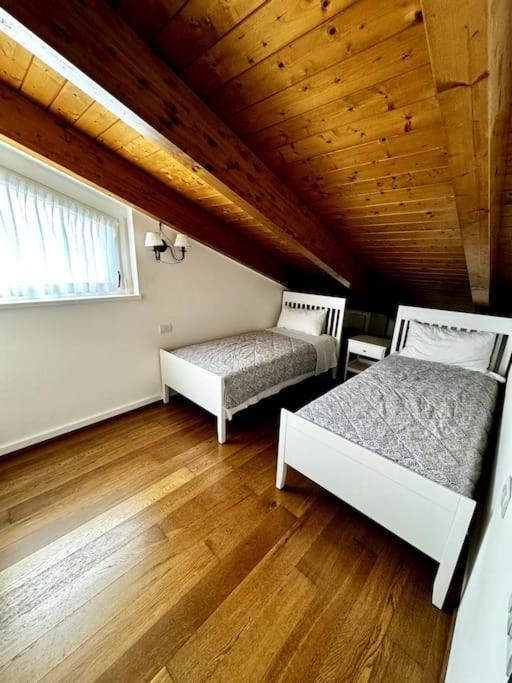 Joy Apartment ميزّيجرا المظهر الخارجي الصورة