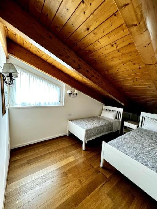 Joy Apartment ميزّيجرا المظهر الخارجي الصورة