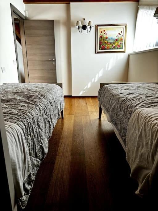 Joy Apartment ميزّيجرا المظهر الخارجي الصورة