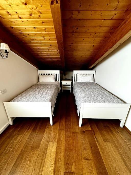 Joy Apartment ميزّيجرا المظهر الخارجي الصورة