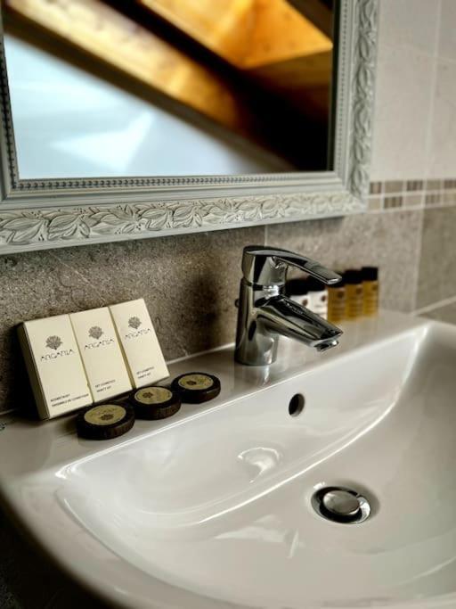 Joy Apartment ميزّيجرا المظهر الخارجي الصورة