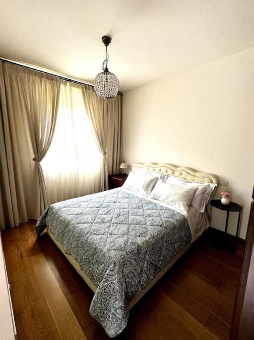 Joy Apartment ميزّيجرا المظهر الخارجي الصورة