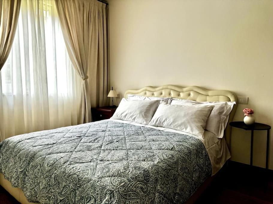 Joy Apartment ميزّيجرا المظهر الخارجي الصورة